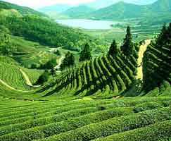 Package Tour To East India