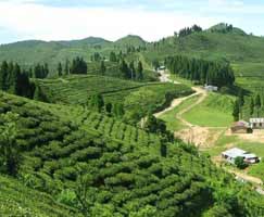 East India Package Tour