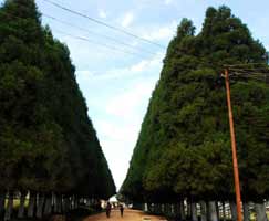 East India Holiday