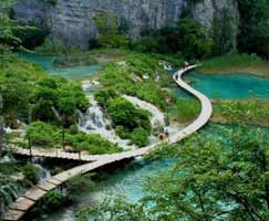 East India Package