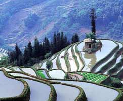 East India Holiday Package